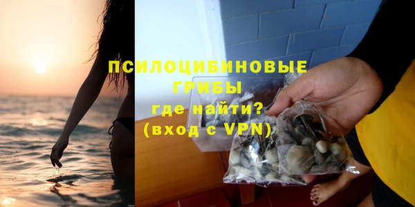 ECSTASY Армянск