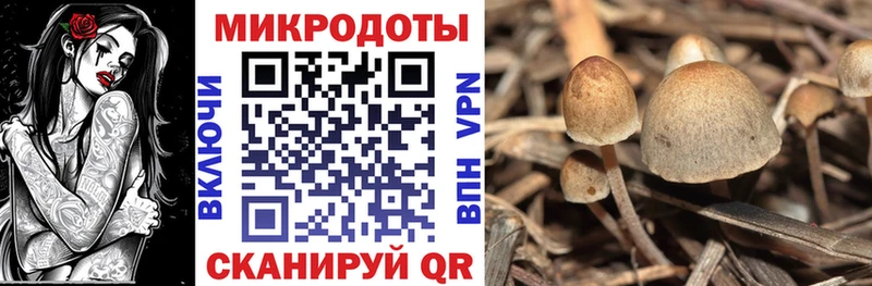 kraken ССЫЛКА  где купить наркоту  Чебаркуль  Псилоцибиновые грибы GOLDEN TEACHER 
